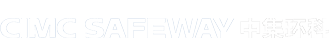 ʱ