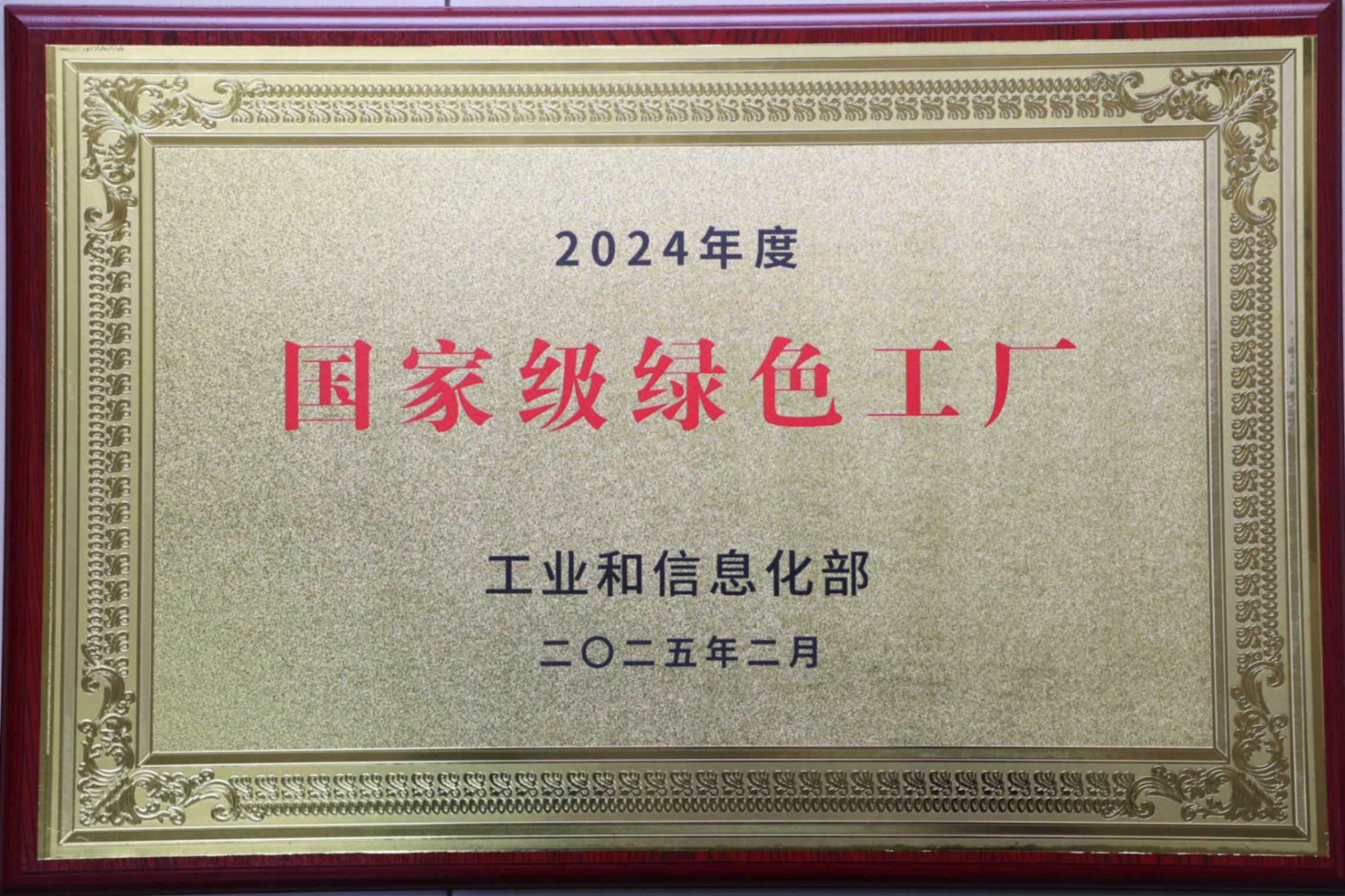 ʱ- ٷվ
